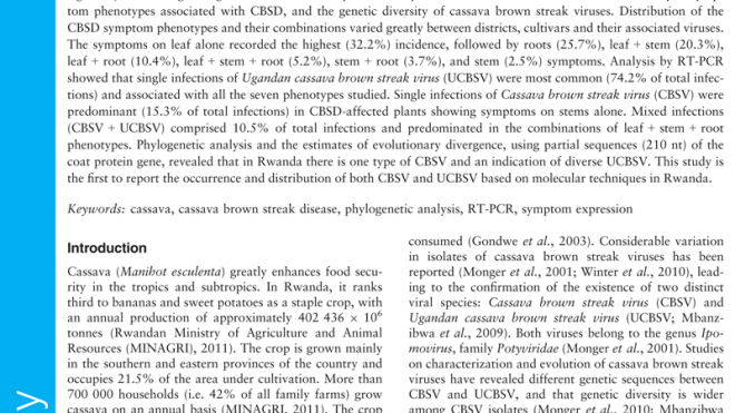 Cassava brown streak disease in Rwanda, the associated viruses and disease phenotypes