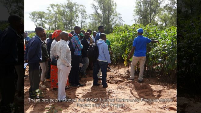 How the Cassava Diagnostics Project has used its diagnostic tools to support other agricultural research projects