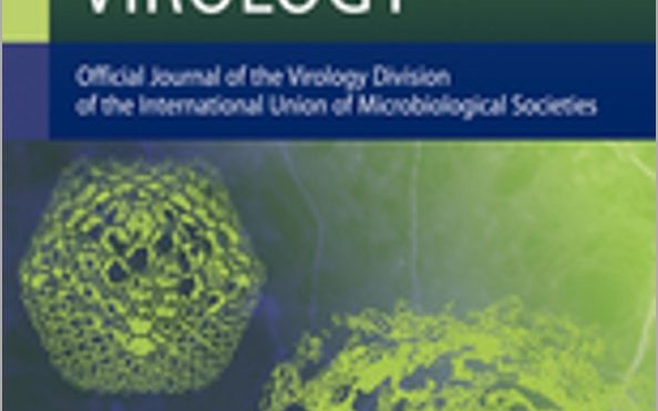 Infectivity of Deinbollia mosaic virus, a novel weed‑infecting begomovirus in East Africa
