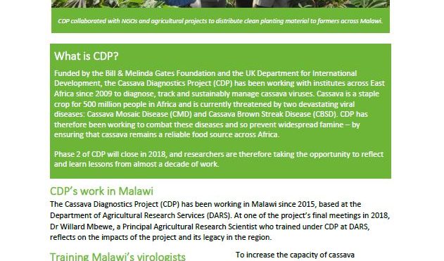Cassava Diagnostics Project impacts: Malawi