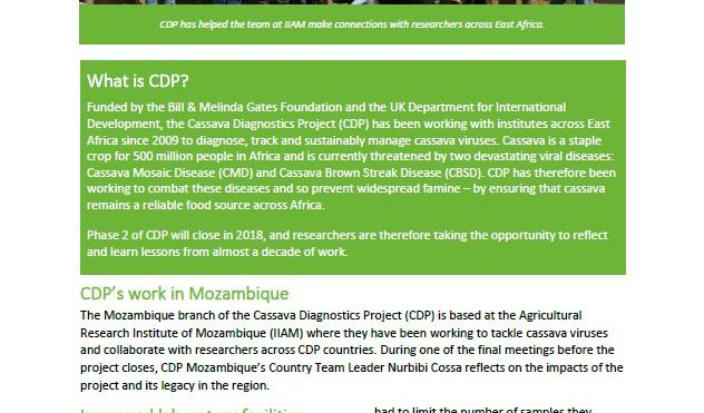 Cassava Diagnostics Project impacts: Mozambique