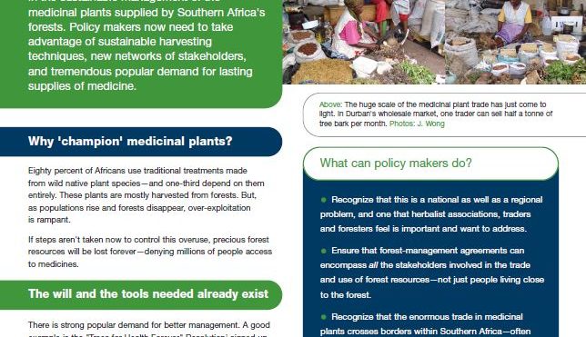 Future health: sustainable management of Africa’s medicinal plants