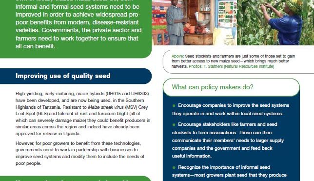 Improving farmers’ access to quality seed