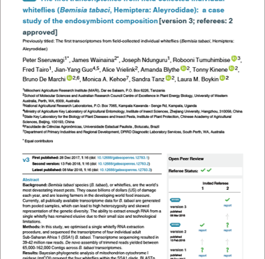 The first transcriptomes from field-collected individual whiteflies: a case study of the endosymbiont composition
