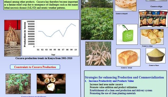 Production, utilisation and commercialisation of cassava in Kenya