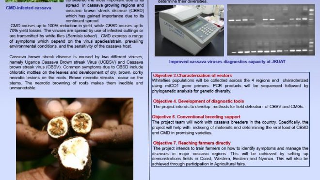 Disease Diagnostics for Sustainable Cassava Productivity in Africa project