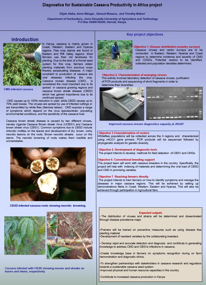 Disease Diagnostics for Sustainable Cassava Productivity in Africa ...