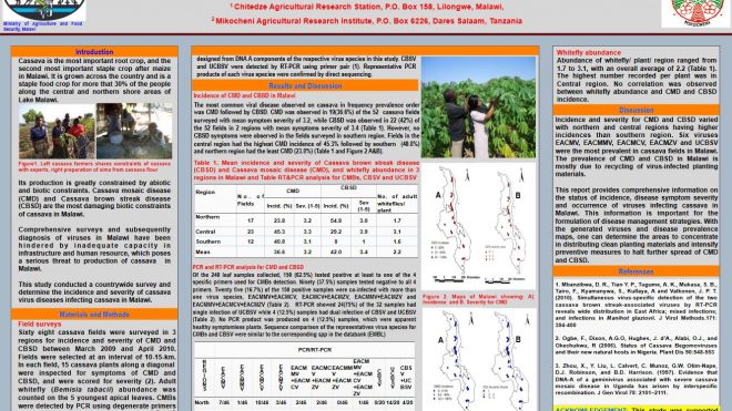 Incidence and severity of cassava virus diseases in Malawi