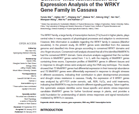 Genome-wide identification and expression analysis of the WRKY gene family in cassava