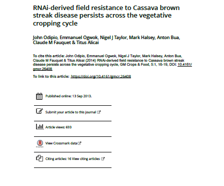 RNAi-derived field resistance to cassava brown streak disease persists across the vegetative cropping cycle