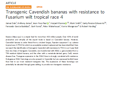 Transgenic Cavendish bananas with resistance to Fusarium wilt tropical race 4