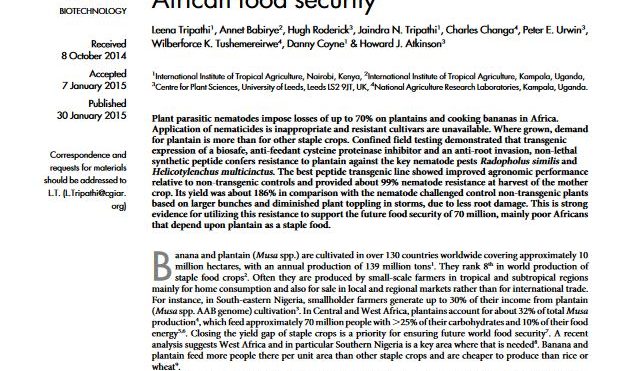 Field resistance of transgenic plantain to nematodes has potential for future African food security