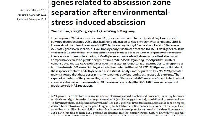 Genome-wide identification of cassava R2R3 MYB family genes related to abscission zone separation after environmental stress-induced abscission