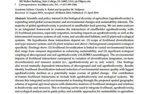 Toward the integrated framework analysis of linkages among agrobiodiversity, livelihood diversification, ecological systems and sustainability amid global change