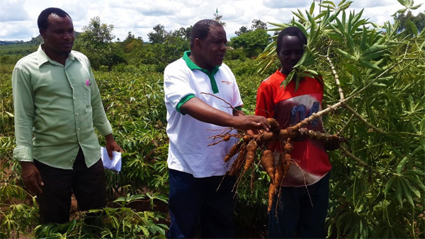 Bridging the Divide – Joseph Ndunguru talks to AgShare.Today about the importance of linking upstream science to smallholder farmers.